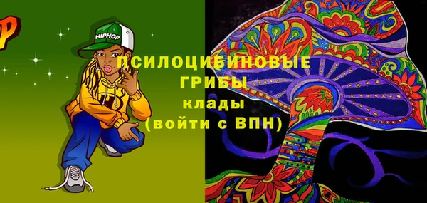 ALPHA PVP Коряжма