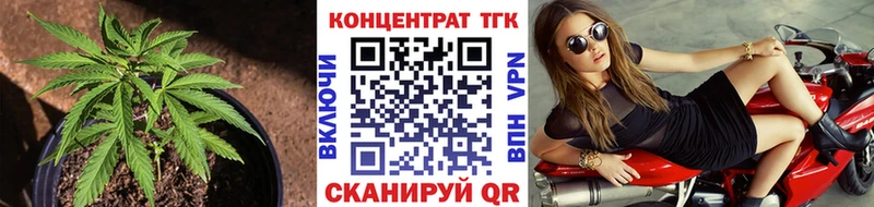 kraken ONION  цены   Алейск  Дистиллят ТГК концентрат 
