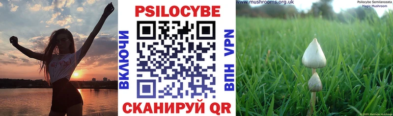 kraken зеркало  Алейск  Галлюциногенные грибы Psilocybine cubensis 